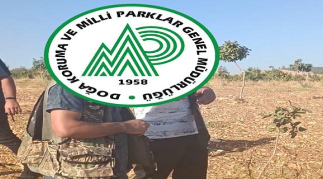 Şanlıurfa'da Kaçak Avcı Yakalandı