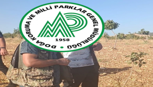 Şanlıurfa'da Kaçak Avcı Yakalandı