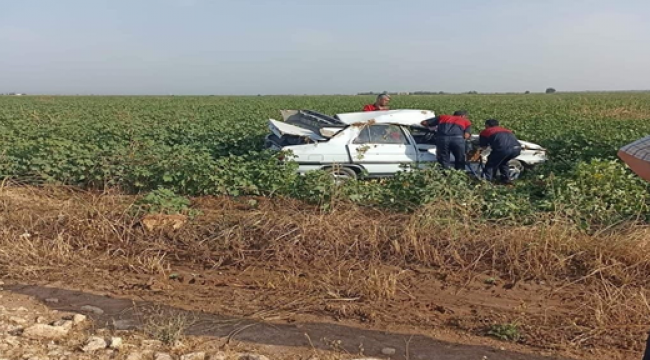 Şanlıurfa'da otomobil pamuk tarlasına uçtu