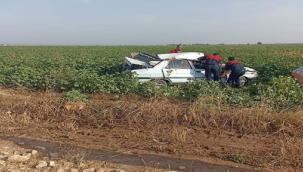 Şanlıurfa'da otomobil pamuk tarlasına uçtu