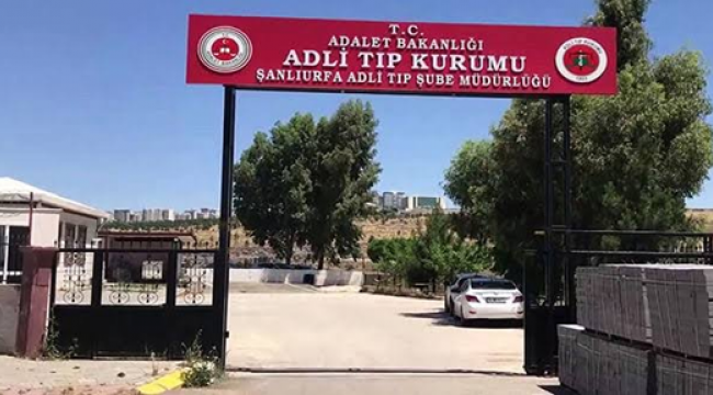 Şanlıurfa'da traktörün altında kalan bir kişi hayatını kaybetti