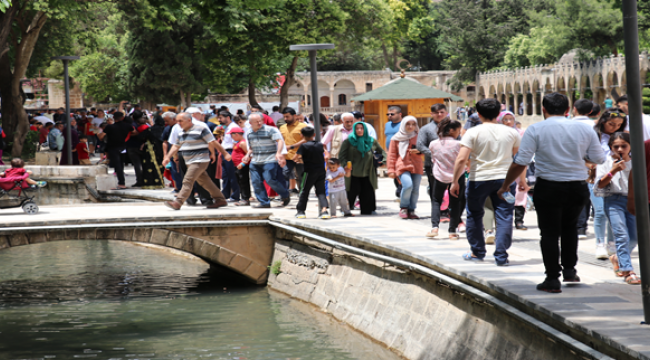 Urfa'da 4 vatandaş hayatını kaybetti