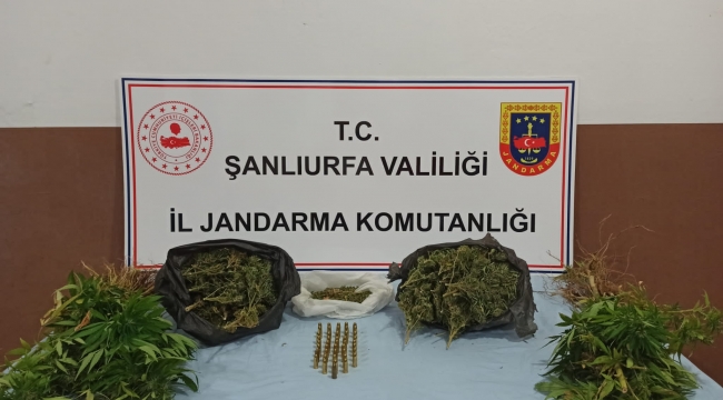 Urfa"da uyuşturucu operasyonu