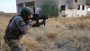 Urfa sınırında 2 terörist etkisiz hale getirildi