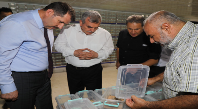 Vali Ayhan ve Başkan Beyazgül Akrep üretim tesisini gezdi