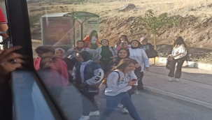 Zeytin dalı kampüs öğrencileri hat mağduru