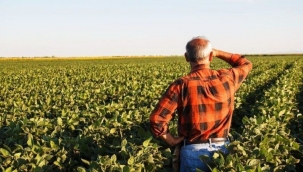Bakan Kirişci duyurdu: Bu hafta yatıyor