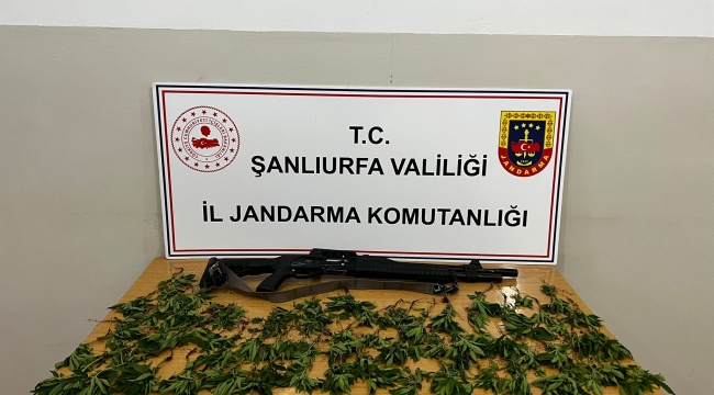 Hilvan'da uyuşturucu ve silah yakalandı