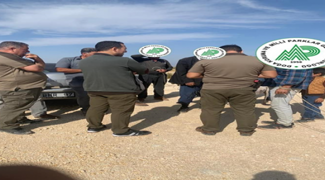 Şanlıurfa'da 'Doğanın bekçileri' göz açtırmıyor