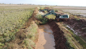 Şanlıurfa'da DSİ ait tahliye kanalları temizleniyor