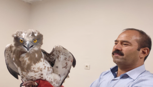 Şanlıurfa'da duyarlı vatandaşlar buldu!