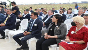 Şanlıurfa'da "İyi Pamuk Uygulamaları Tarla Günü" etkinliği düzenlendi