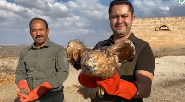 Şanlıurfa'da tedavisi tamamlanan kuşlar doğaya bırakıldı