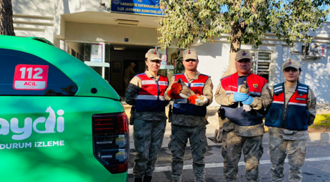Şanlıurfa'da Yabani Doğan kuşu ele geçirildi