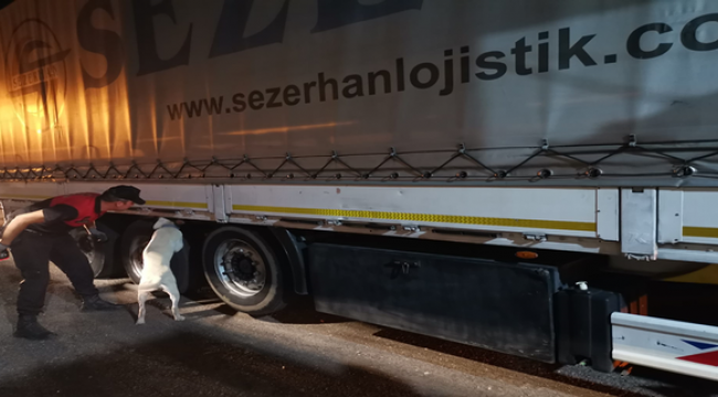 Şanlıurfa'nın iki ilçesinde şok yol araması