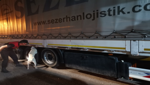 Şanlıurfa'nın iki ilçesinde şok yol araması