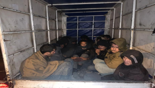 Siverek'te kaçak göçmen operasyonu
