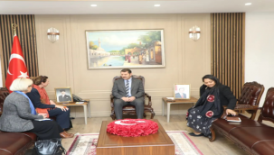 Büyükelçi Sincilair Vali Ayhan'a ziyaret