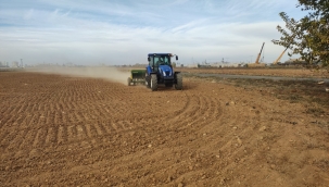 Büyükşehirin Ektiği Buğdaylar Halk Ekmek Fabrikasında Ekmeğe Dönüşecek