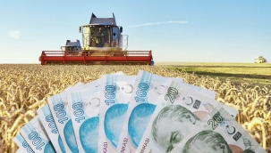 Destek ödemeleri çiftçilerin hesaplarına yatıyor