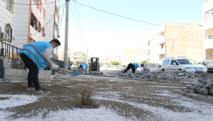 Haliliye'de Üstyapı Çalışmaları Merkez Mahallelerde Sürüyor 