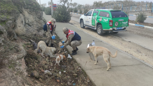 Jandarma sokak hayvanlarını unutmadı
