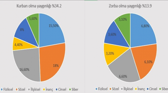 Okullarda Artan Önemli Bir Sorun: Akran Zorbalığı 