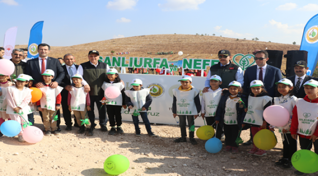 Şanlıurfa'da binlerce fidan toprakla buluştu
