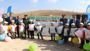 Şanlıurfa'da binlerce fidan toprakla buluştu
