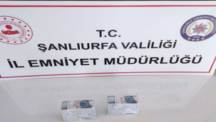 Şanlıurfa'da dolandırıcı operasyonu,2 tutuklama