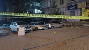 Şanlıurfa'da polislere ateş açan 3 şahıs yakalandı