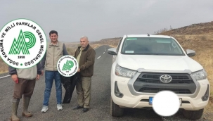 Şanlıurfa'da usulsüz avlanan 7 kişiye idari işlem
