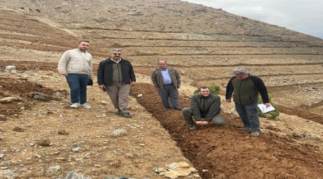 Şanlıurfa'da yüz binlerce fidan toprakla bulaşacak