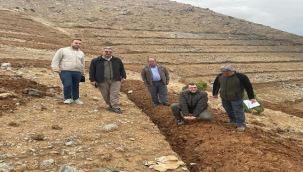 Şanlıurfa'da yüz binlerce fidan toprakla bulaşacak