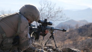 Şanlıurfa sınırında saldırı hazırlığındaydılar