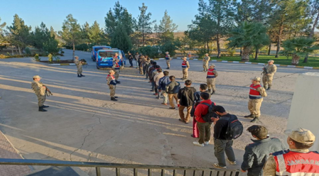 Suruç'ta  kaçak göçmenler yakalandı!