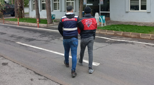 Urfa'da DEAŞ üyesi yakalandı
