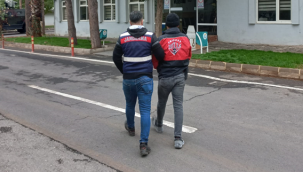 Urfa'da DEAŞ üyesi yakalandı