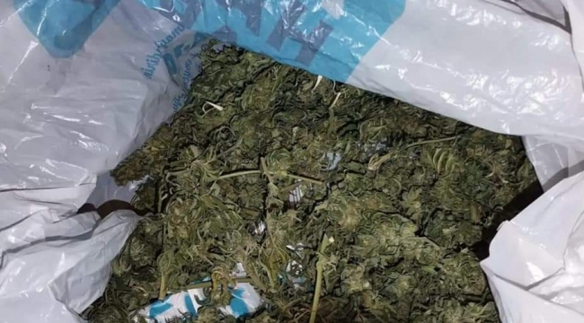 Urfa"da uyuşturucu operasyonu, 2 gözaltı 