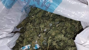 Urfa"da uyuşturucu operasyonu, 2 gözaltı 