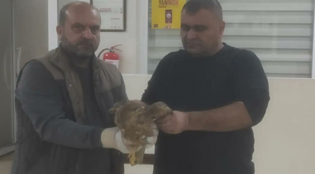Urfa'da yaralı halde bulunan 2 kuş tedavi altına alındı!