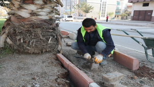 Başkan Kuş, Yem Yeşil Eyyübiye İçin Durmadan Çalışacağız