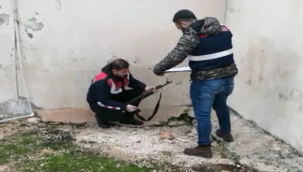 Haliliye'de 2 kişinin öldüğü kavgada yeni gelişme