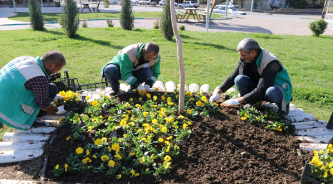 Haliliye'de Peyzaj Çalışmaları İle Parklar Yeşilleniyor 
