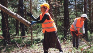 OGM 1482 Sözleşmeli Personel Alımı İlanı Kontenjan ve Şartlar