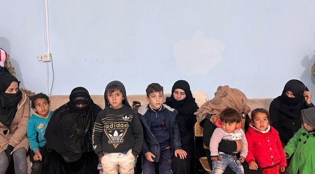 Şanlıurfa'da 88 düzensiz göçmen yakalandı