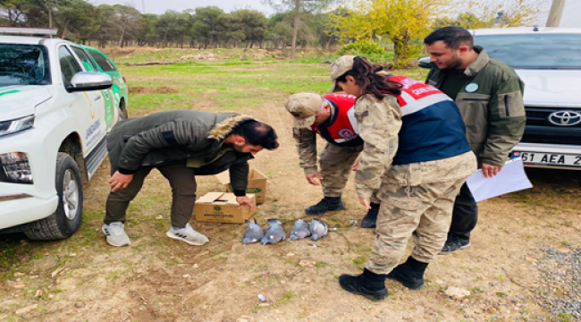 Şanlıurfa'da kaçak avcılık yapan şahsa ceza