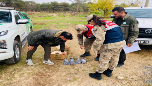 Şanlıurfa'da kaçak avcılık yapan şahsa ceza