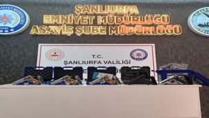 Şanlıurfa'da silah operasyonu