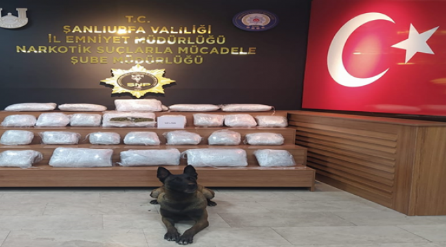 Şanlıurfa'da uyuşturucu operasyonu